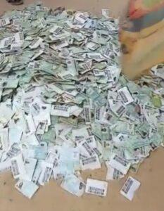 Hunter finds Thousands of PVC in Anambra bush