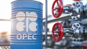 OPEC Cuts Nigeria’s Oil Output By 20.7% - Takes Effect From January 2024