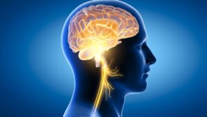 Brain health – Preventing and coping with memory loss