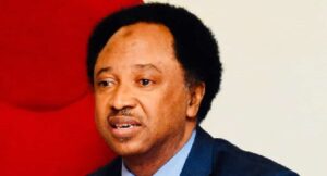 You may end up in deeper poverty: Shehu Sani warns Nigerians waiting for Tinubu’s N8k palliative