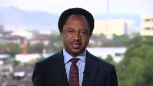 Support businesses not N8, 000 palliative, Shehu Sani tells Tinubu