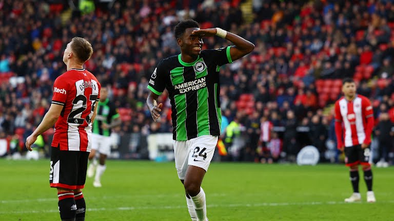 Brighton vs Sheffield